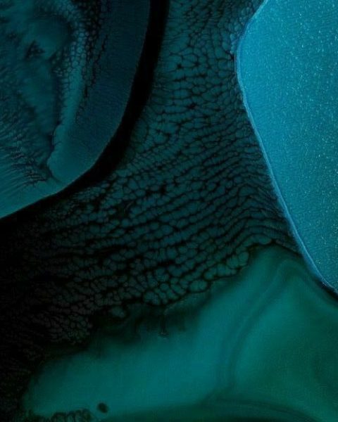 ec1f2ff85d84b858406b1afcd95a648b